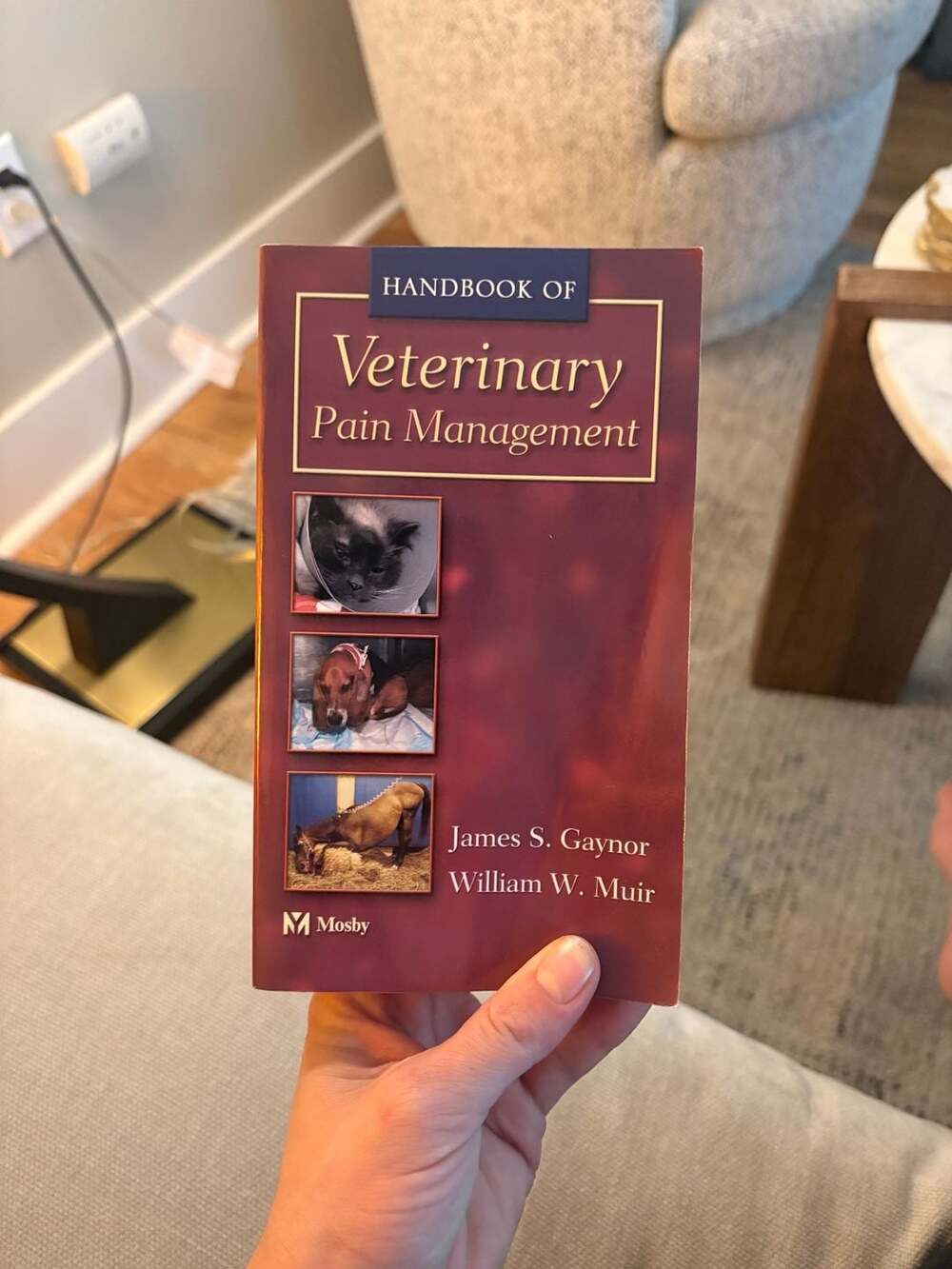 Handbook of Veterinary Pain Management – Gaynor & Muir – 2002